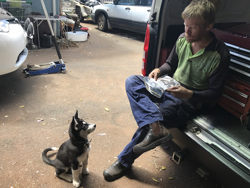 Shawn Taylor Mobile Mechanic Margaret River Logo