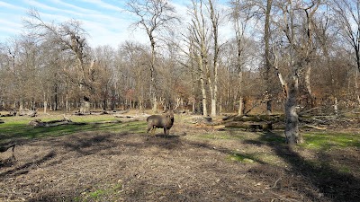 Photos of Qoroq Deer Park