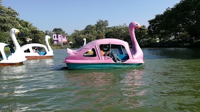 Photos of Swan Boat Ride