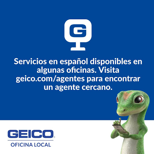 Tom King - GEICO Insurance Agent - Thumbnail