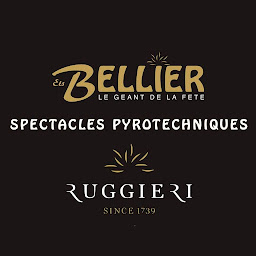 Photo n°34 de Bellier - le Géant de la Fête SAS à La Ferté-Saint-Aubin (Magasin d'articles de fête)