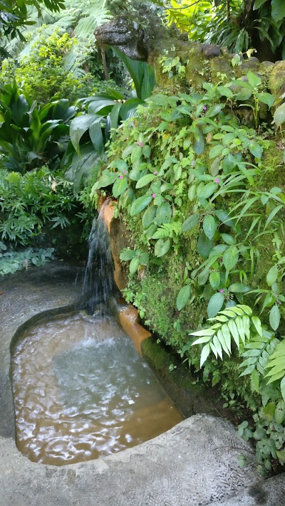 Photos of Papillote Rainforest Restaurant