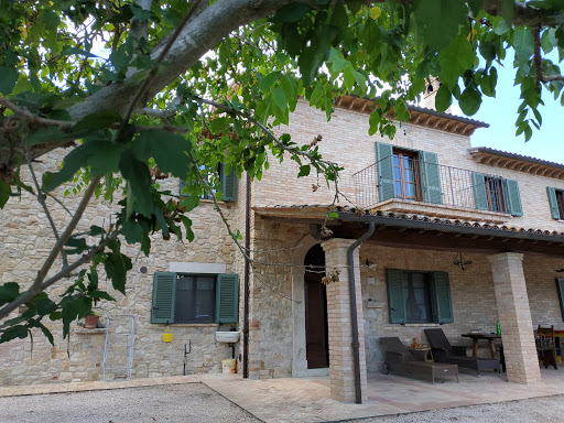 Todi Truffle - Thumbnail