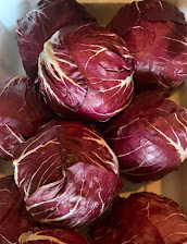 Radicchio