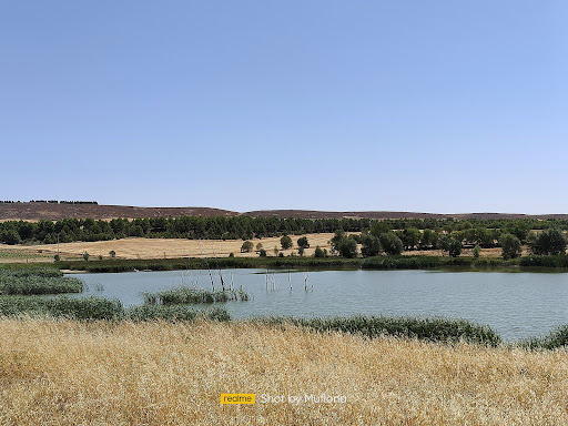 Zona Recreo Carrascosa (Embalse de Campos del Paraíso)+Barbacoas+PArque niños