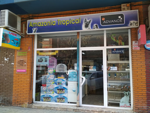 Amazonia Tropical Discos Logo