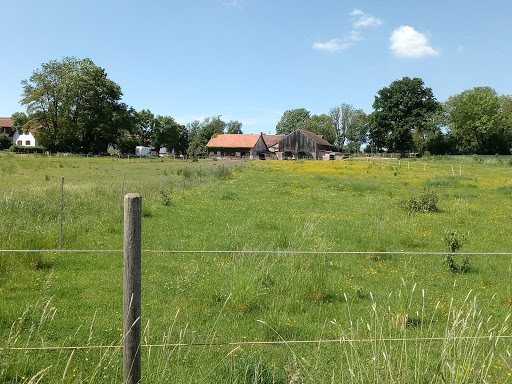 Stammham - Visual