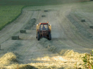 Photo n°10 de LA FERME DE PIQUETALEN DU LARZAC - GLACES FERMIERES à La Bastide-Pradines (Restaurant de sundae)