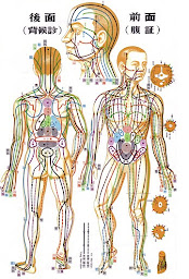 Photo n°11 de cabinet Shiatsu et Hypnose- Ecole Lyonnaise de Shiatsu à Saint-Jean-de-Soudain (Massothérapeute)