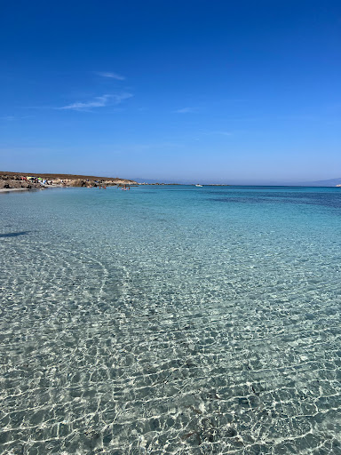 Isola di Mal di Ventre - Escursioni - Noleggio gommoni - SeaNext & Summer Team