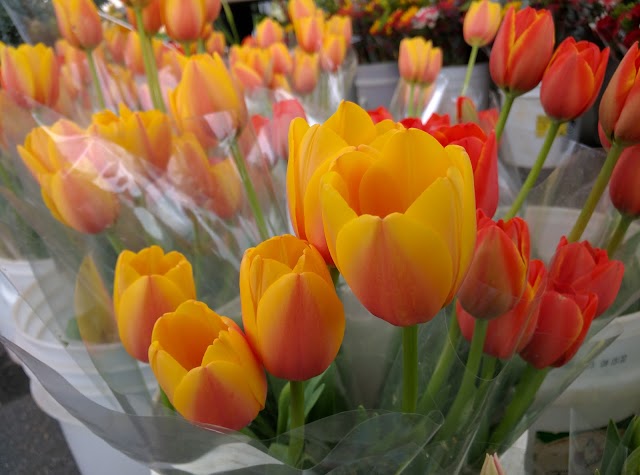 Hillcrest Farmers Market