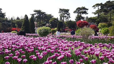 Photos of Byeokchoji culture Arboretum
