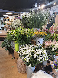 Photo n°29 de Aux Fleurs de la Passion à Beuzeville (Fleuriste)