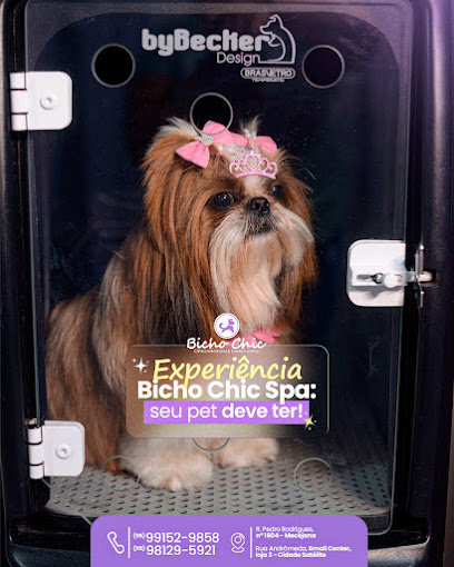 Bichochic