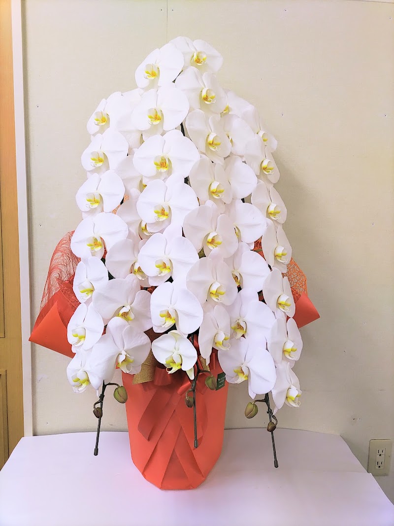 フラワーショップ花廣