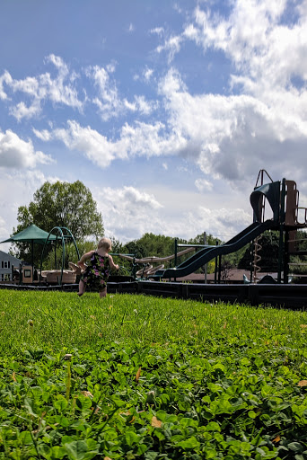 Morton Park - Visual