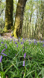 Photo n°4 de Anmara Nature à Lys-Haut-Layon (Centre de bien-être)