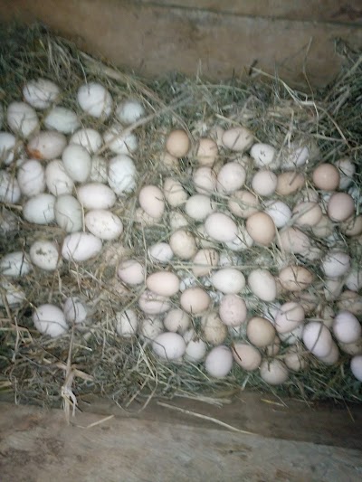 Photos of Cefra Farm