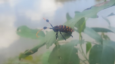 Photos of Riverview Park