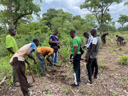 AGM Consulting Group