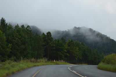 Photos of Mbulwa
