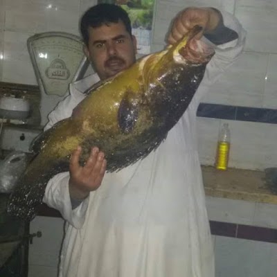 Photos of مطعم اسماك اولاد شعيب