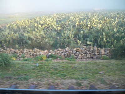 Photos of Mr. Haggag train station