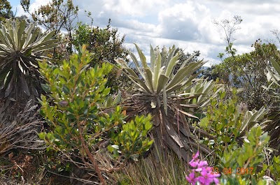 Photos of Aventura Muisca