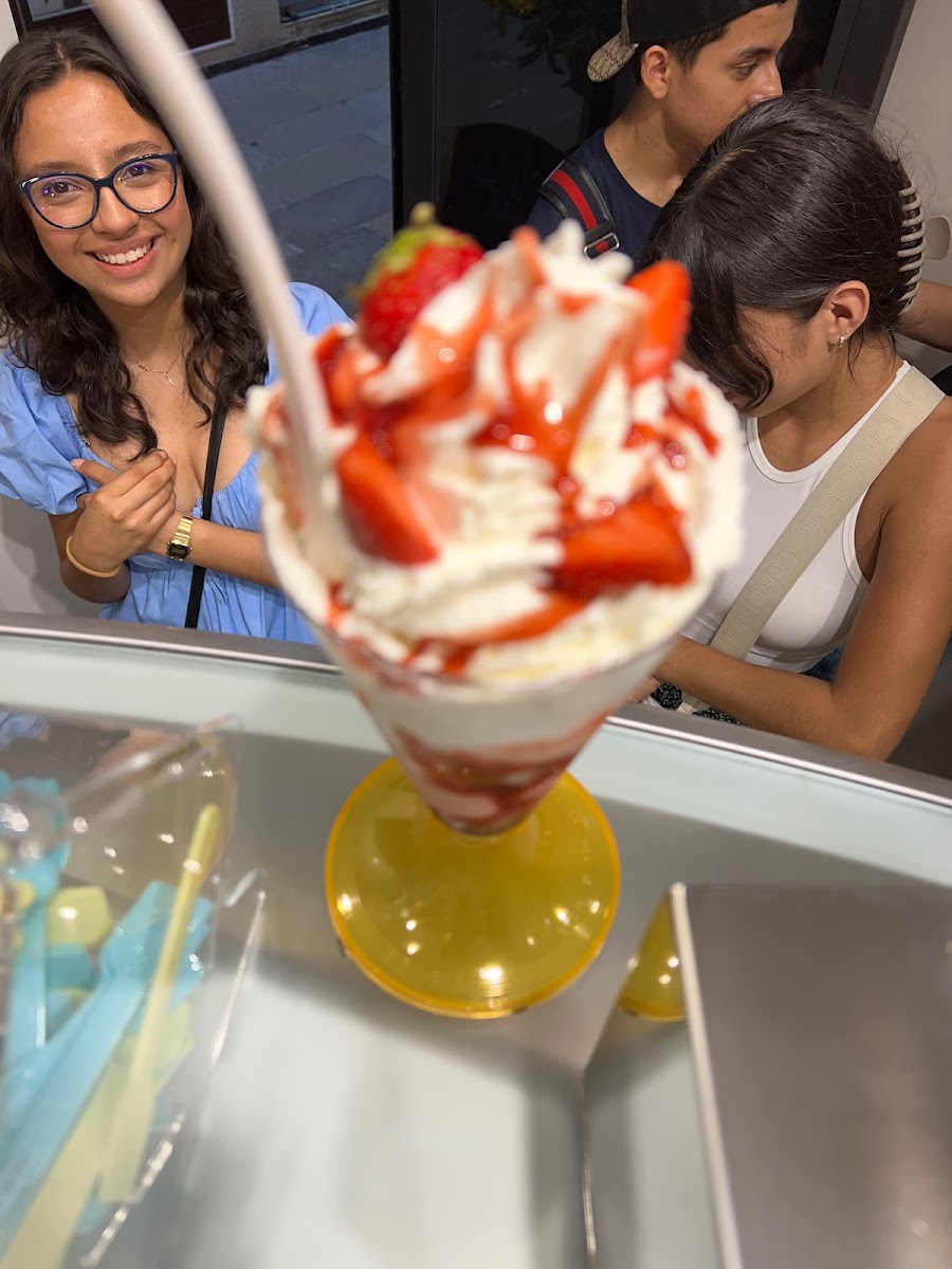 Gelato Fantasy Castello — photo 15