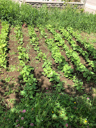 Photo n°20 de Villa Petrus de Longemaison à Longemaison (Chambre d'hôtes)
