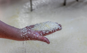 Photo n°13 de Fromagerie de Frasne à Frasne (Épicerie)