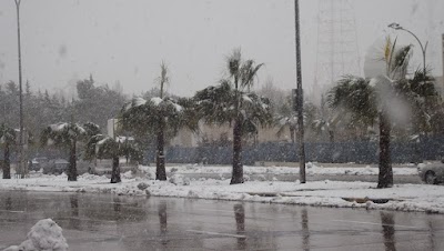 Photos of King Abdullah II Park