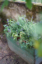 Photo n°51 de Manoir de la Salle du Roc à Montrichard Val de Cher (Chambre d'hôtes)