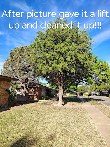 T'S Tree Trimming And Lawn Care