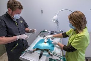 Photo n°21 de CLINIQUE VETERINAIRE DE LA MODER à Pfaffenhoffen (Clinique vétérinaire)