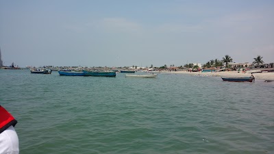 Photos of The Palm Samba