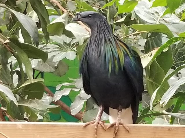 Cape May County Park & Zoo