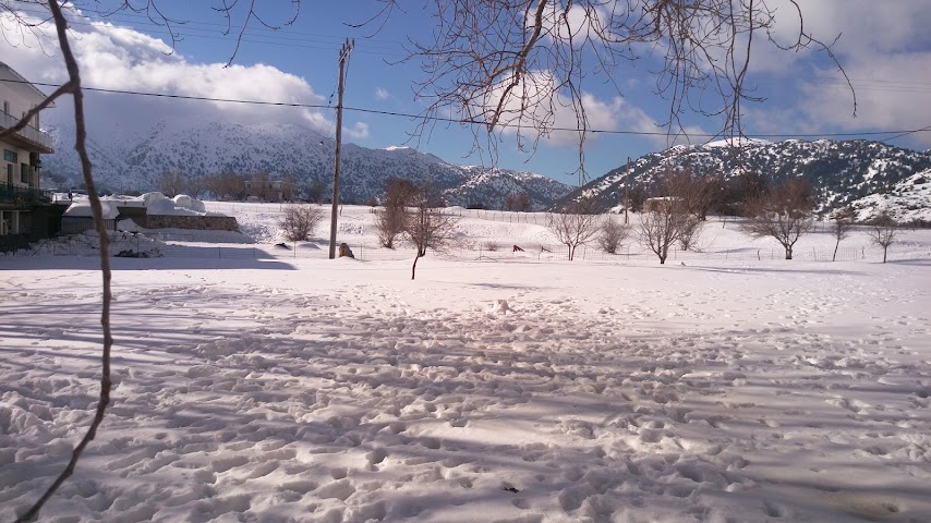 Hotel Neos Omalos by null