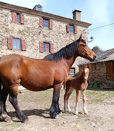 Photo n°3 de Groupe Vétérinaire Cerdagne Capcir à Bourg-Madame (Vétérinaire)