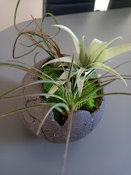 Photo n°20 de Ellafreedesign à Mollkirch (Fleuriste)