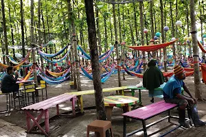 Wisata Kebon Jati image