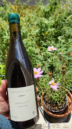 Photo n°2 de Domaine du Témoin à Juliénas (Vignoble)