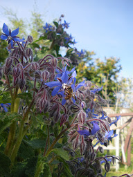 Photo n°28 de Café de Campagne à Péronnas (Restaurant français)