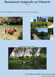 Photo n°24 de Rando Luce à Saint-Bauzille-de-Montmel (Pension pour chevaux)