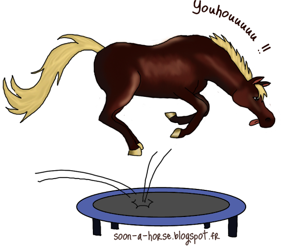 Centre Équestre & Poney Club Equivil de Chaville - Sèvres