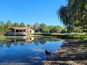 Photo n°64 de Belli 🌿 Guinguette de Salvagnac à Salvagnac (Bar à tapas)
