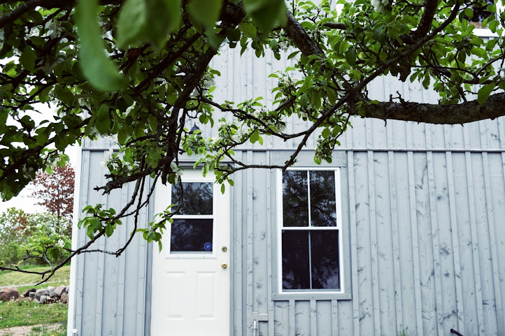 Lazy Bear Brewing by null