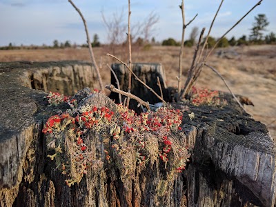 Photos of Seney National Wildlife Refuge