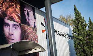 Photo n°7 de Plaisirs du Vin Agen à Agen (Cave à vins)