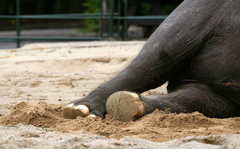 nordundsüd – Büro für Gestaltung photo